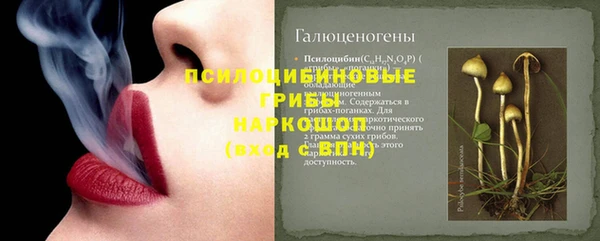 мет Каменка