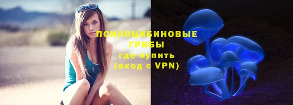 мет Каменка