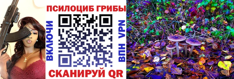Галлюциногенные грибы ЛСД  Купить закладки  Волосово 