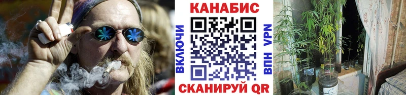 Купить закладки  Волосово  Бошки Шишки Bruce Banner 